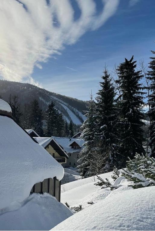 Appartamento Garage Harrachov Esterno foto